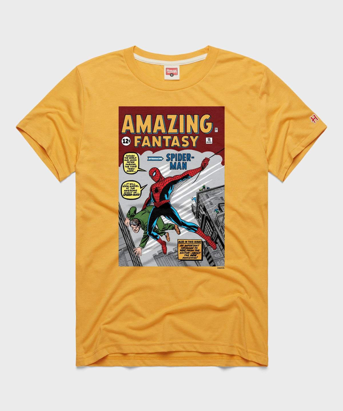 Amazing Fantasy Issue #15 product image 1