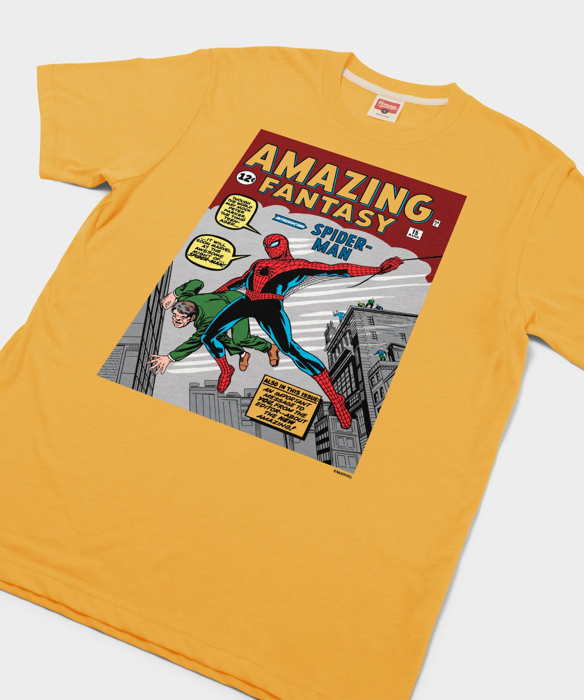 Amazing Fantasy Issue #15 product image 2