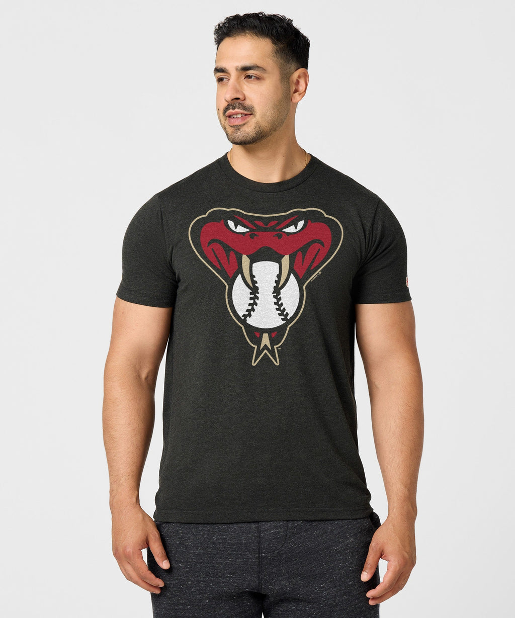 Arizona Diamondbacks Alt Logo '16 product image 3