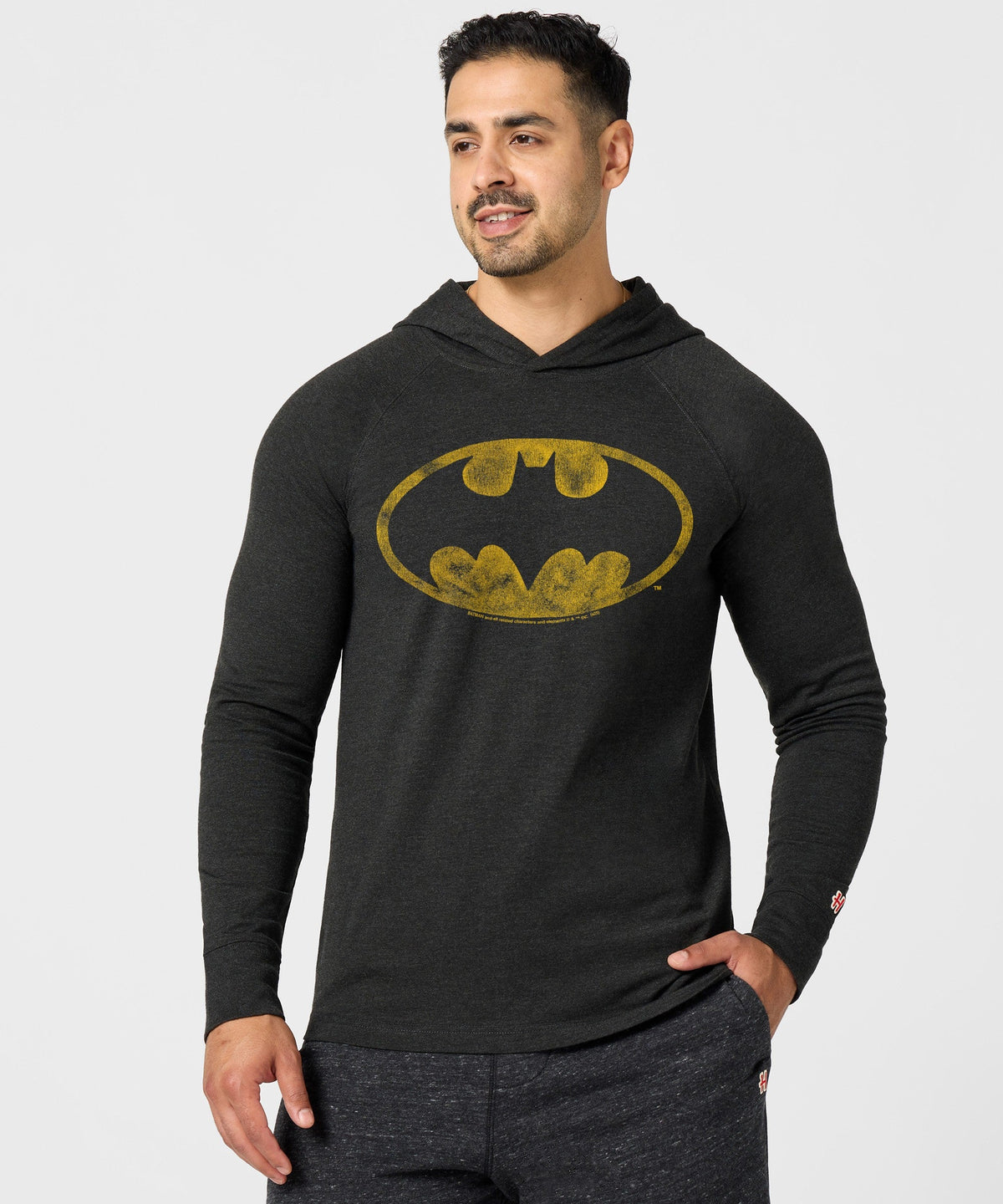 Batman Logo Lightweight Hoodie product image 3