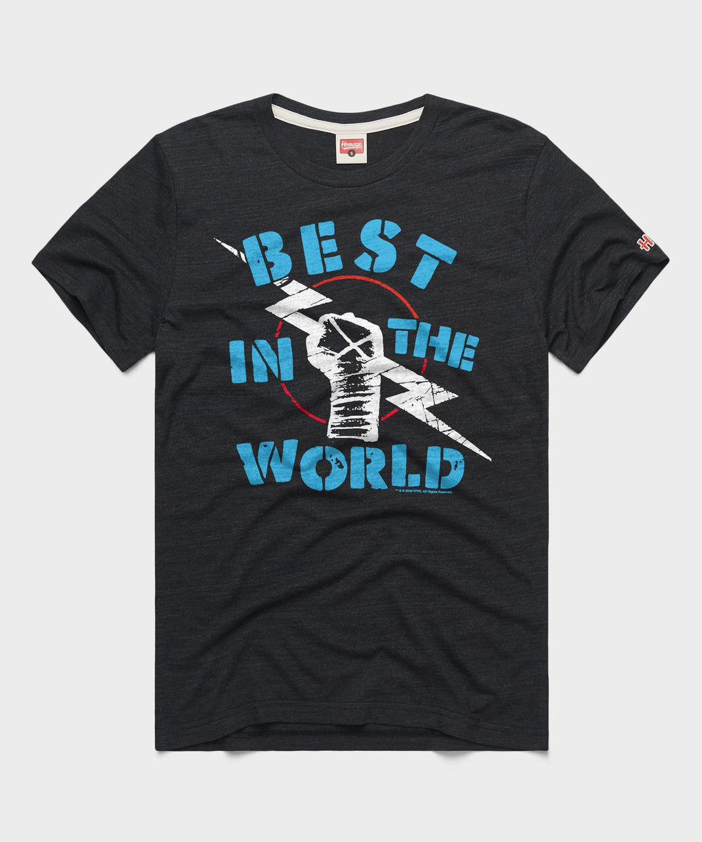 CM Punk Best In The World product image 1