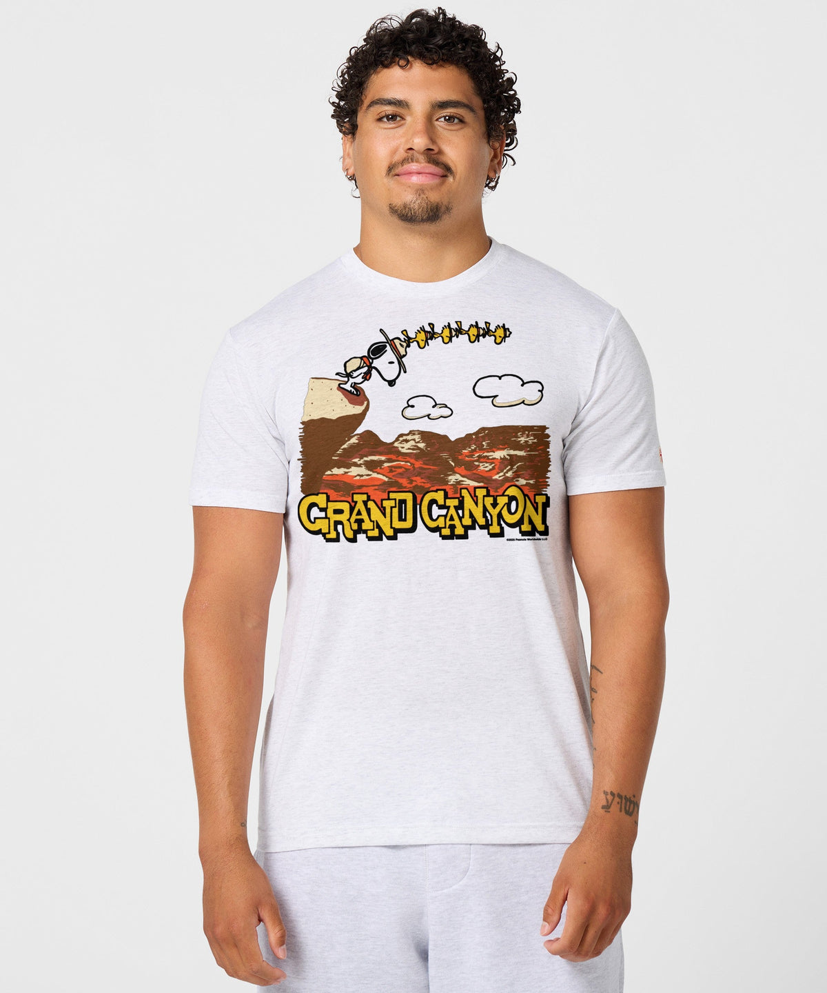 Peanuts Snoopy x Grand Canyon National Park product image 3
