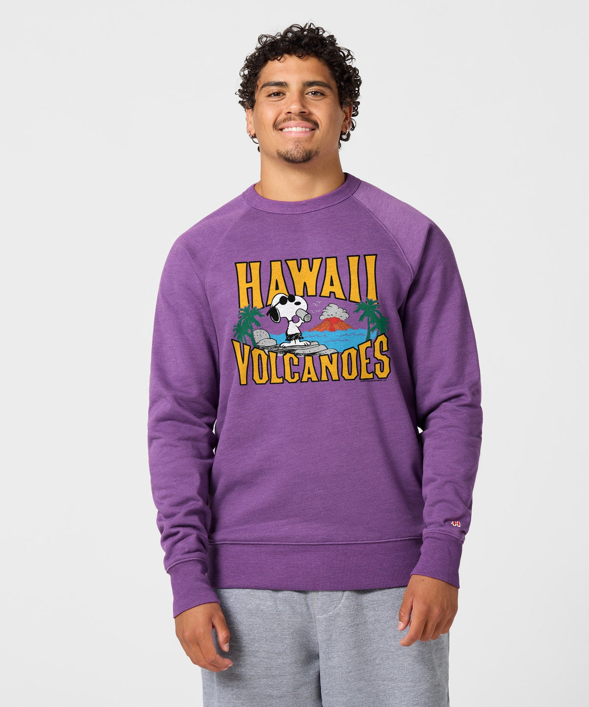 Peanuts Snoopy x Hawaii Volcanoes National Park Crewneck product image 3