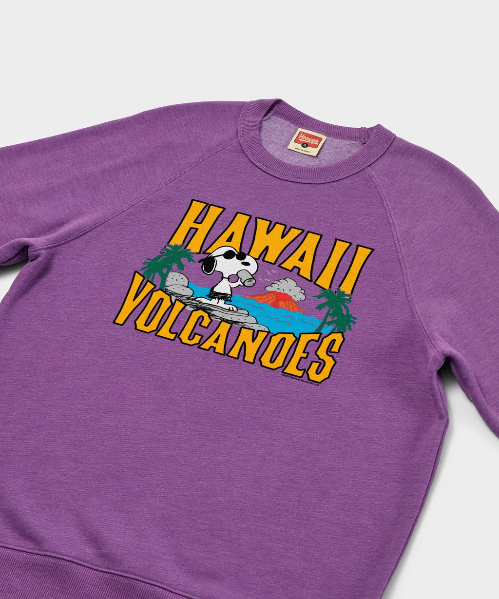 Peanuts Snoopy x Hawaii Volcanoes National Park Crewneck product image 2