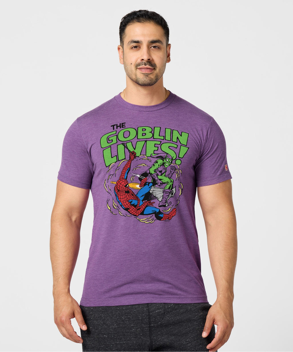 Spider-Man The Goblin Lives product image 3
