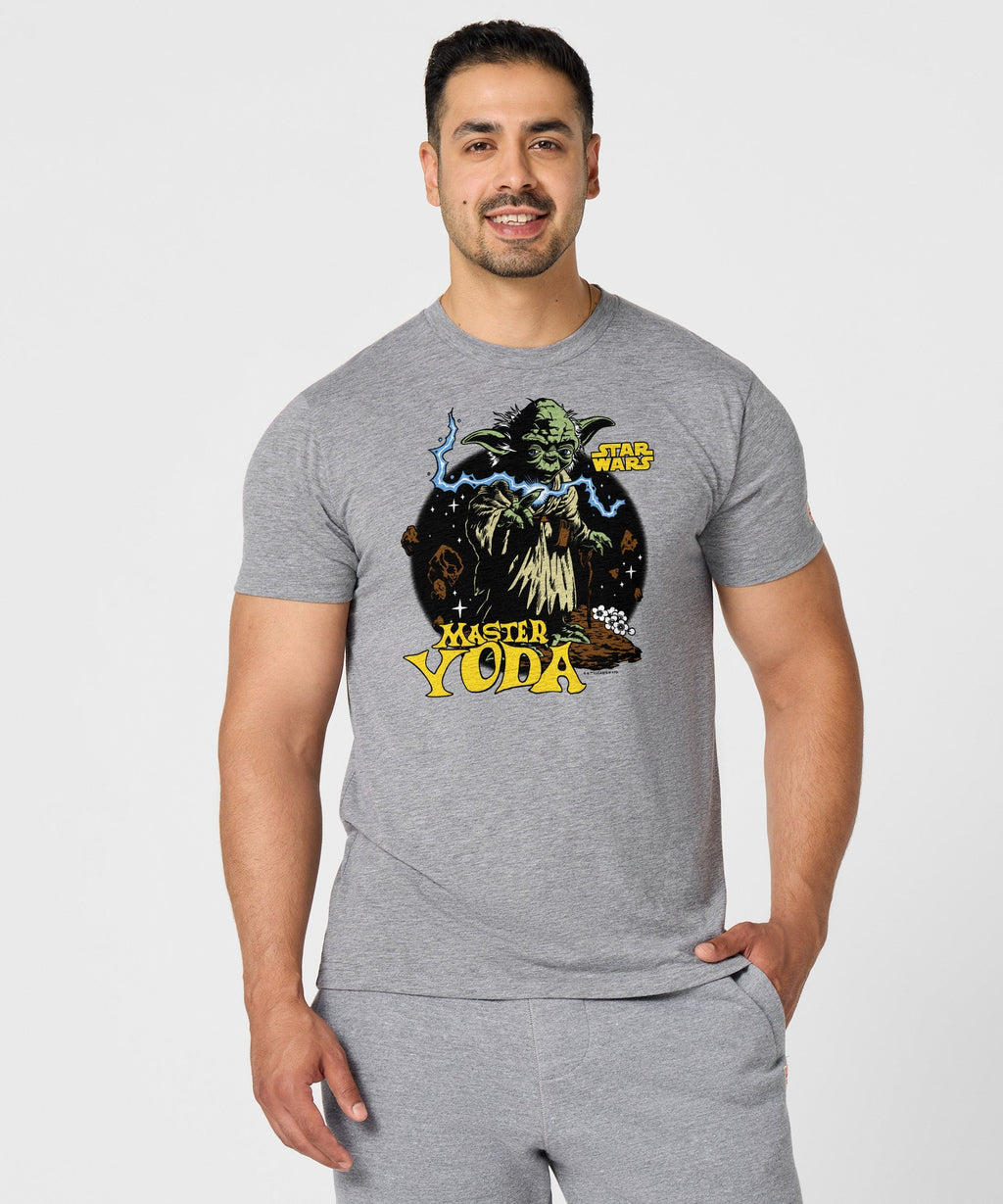 Star Wars Master Yoda product image 3