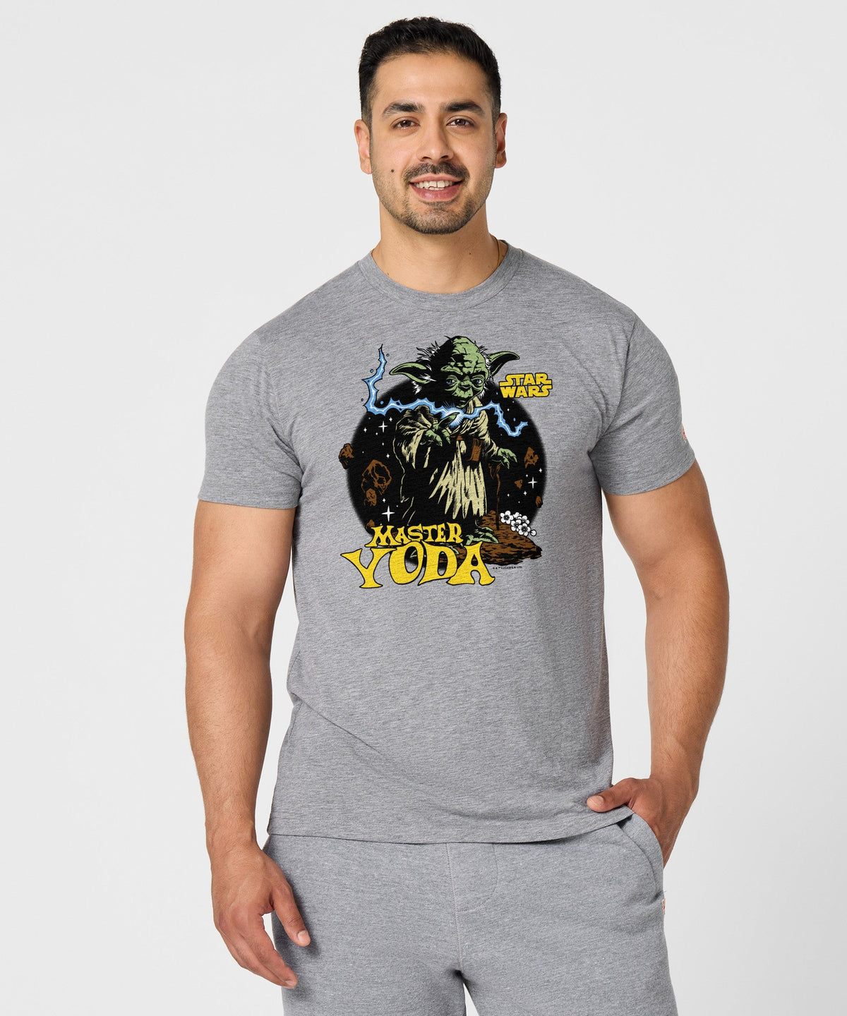 Star Wars Master Yoda product image 3