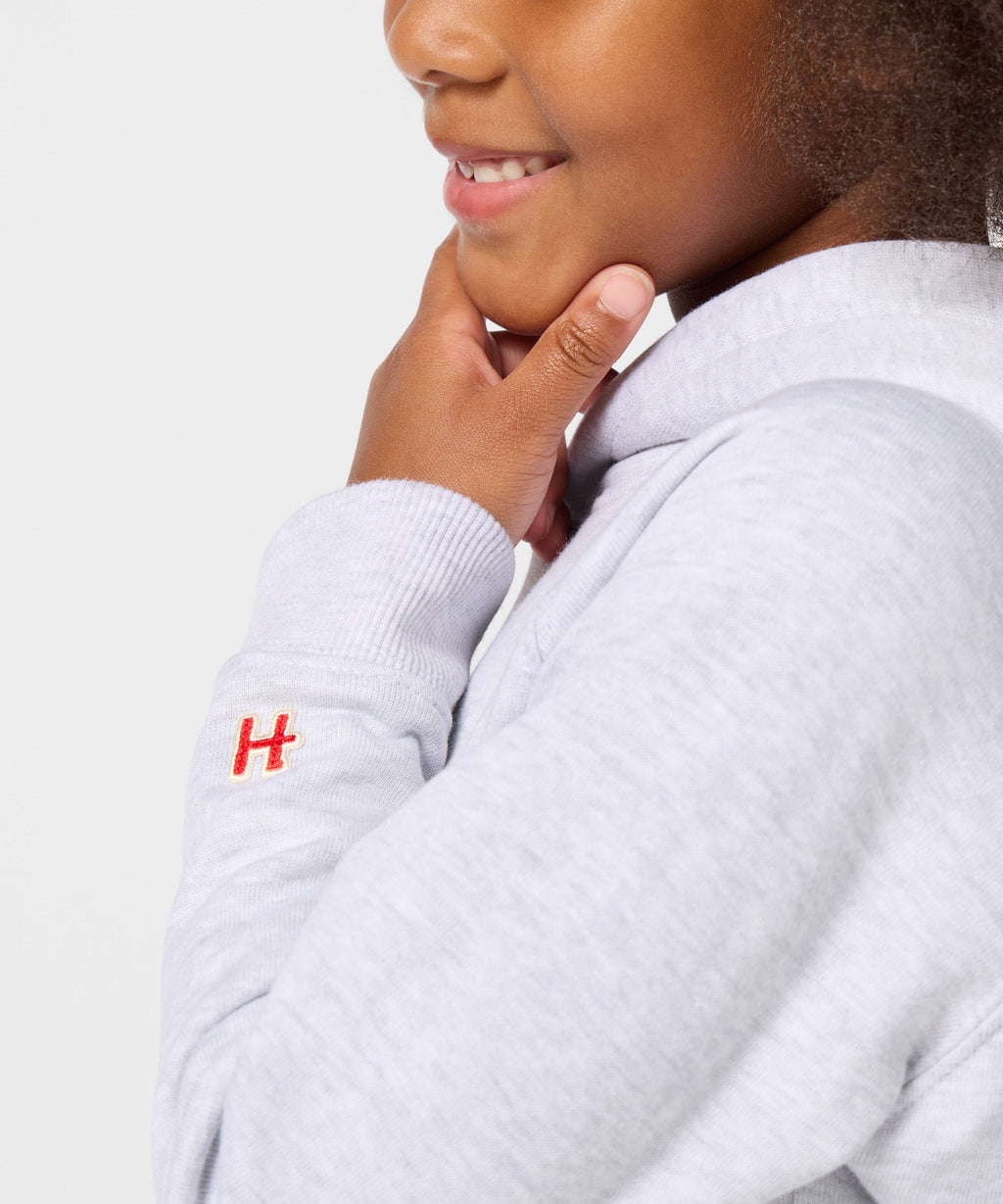 Youth Detroit Lions Big Helmet Hoodie product image 5