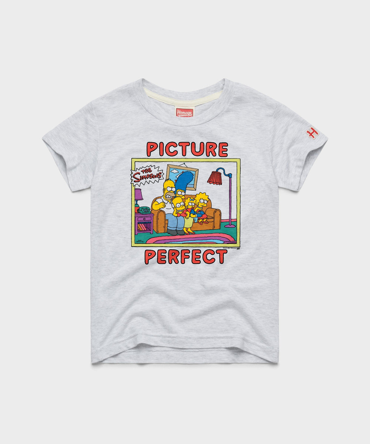 Youth The Simpsons Picture Perfect product image 1